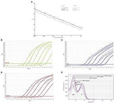 Application of Short Pre-enrichment, and Double Chemistry Real-Time PCR, Combining Fluorescent Probes and an Intercalating Dye, for Same-Day Detection and Confirmation of Salmonella spp. and Escherichia coli O157 in Ground Beef and Chicken Samples